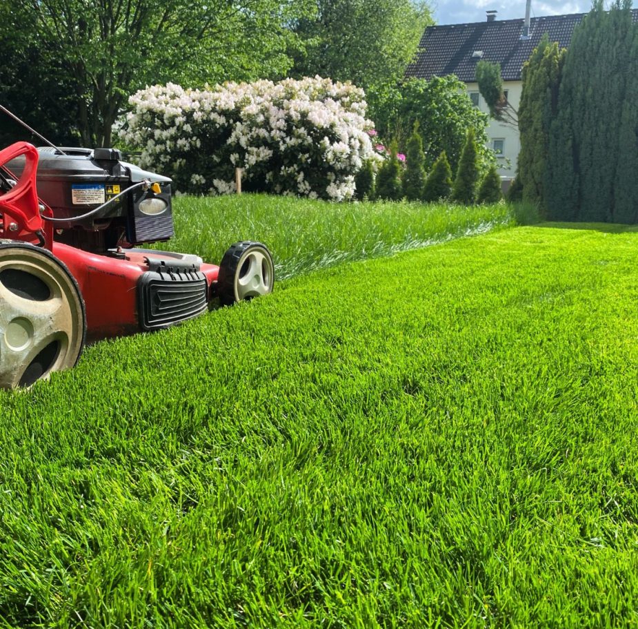 Rasenmäher schneidet frisches, gepflegtes Gras in einem Garten mit Bäumen.